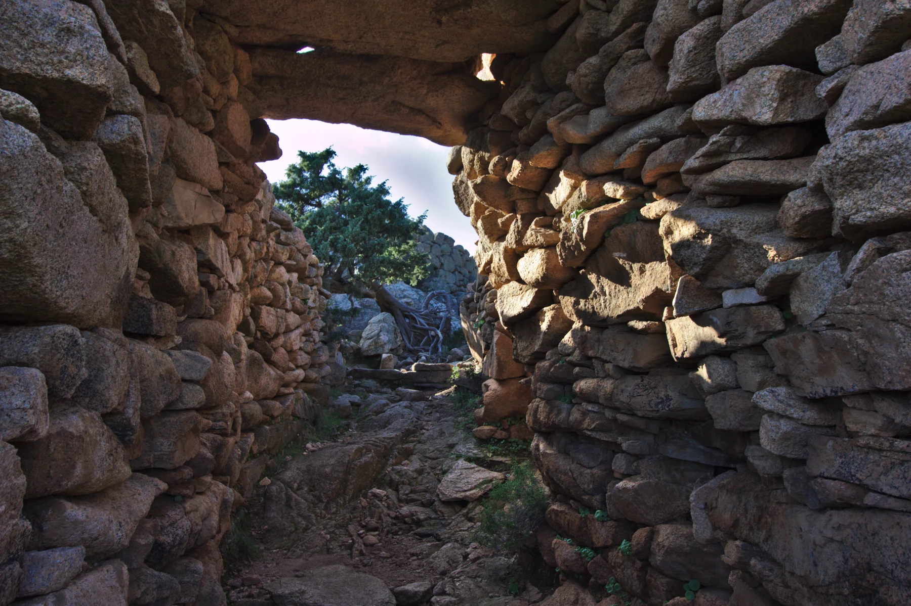 Araghju: A narrow passage makes the thickness of the stonework visible.