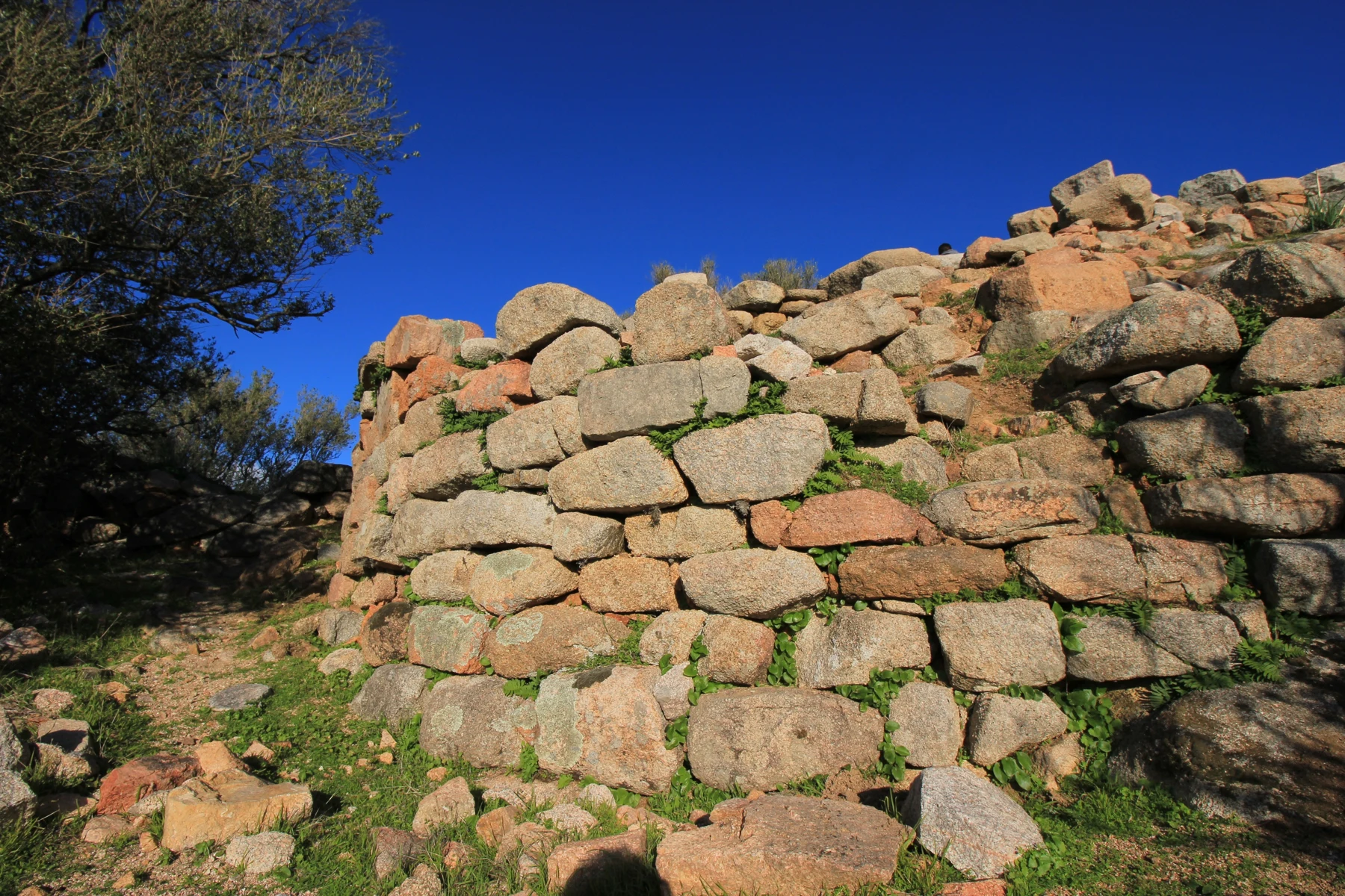 Ceccia: Large blocks form a curved wall at this Corsican torre site.