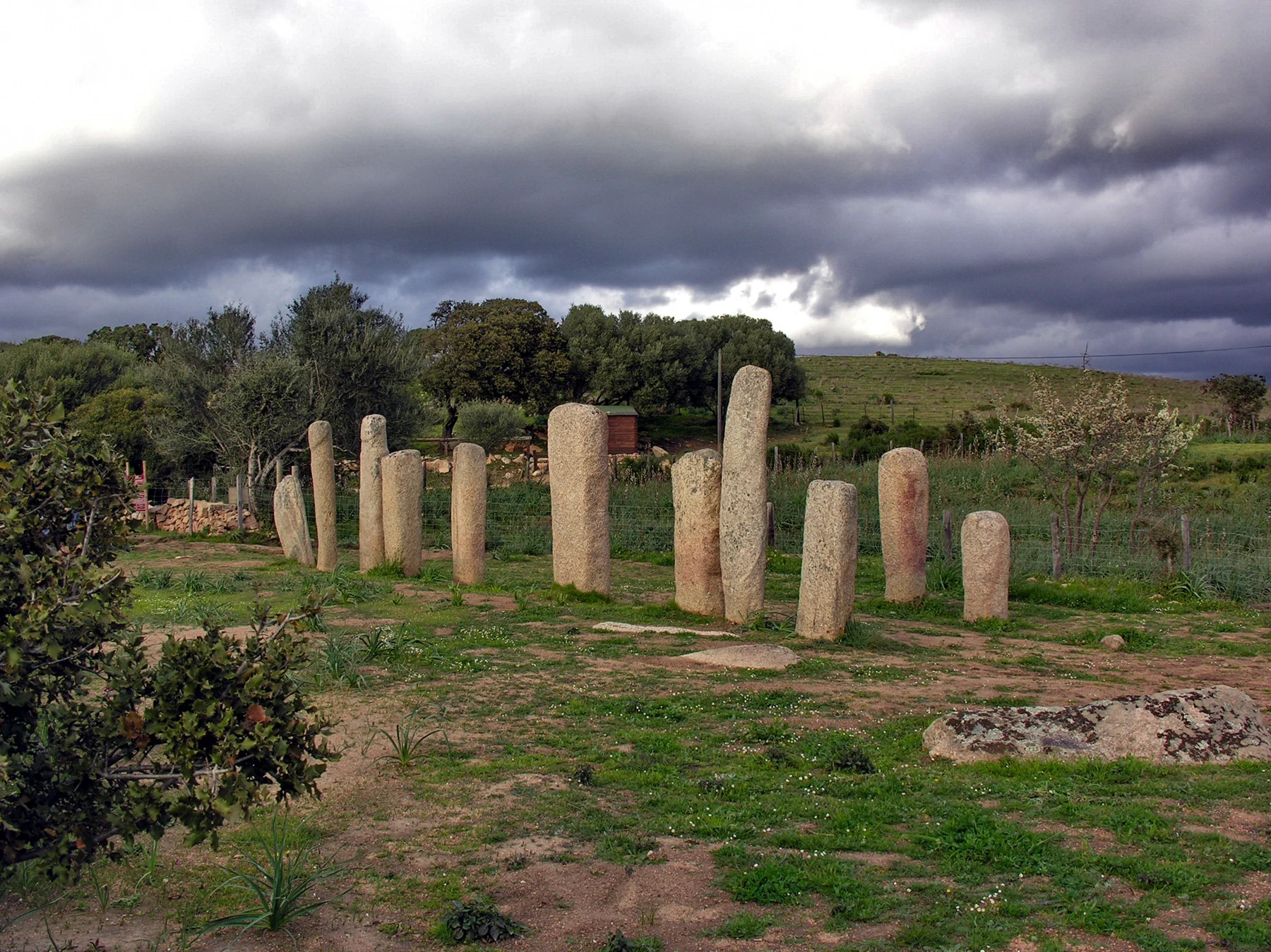 I Stantari · Cauria: Standing stones arranged in rows make the landscape part of the monument.