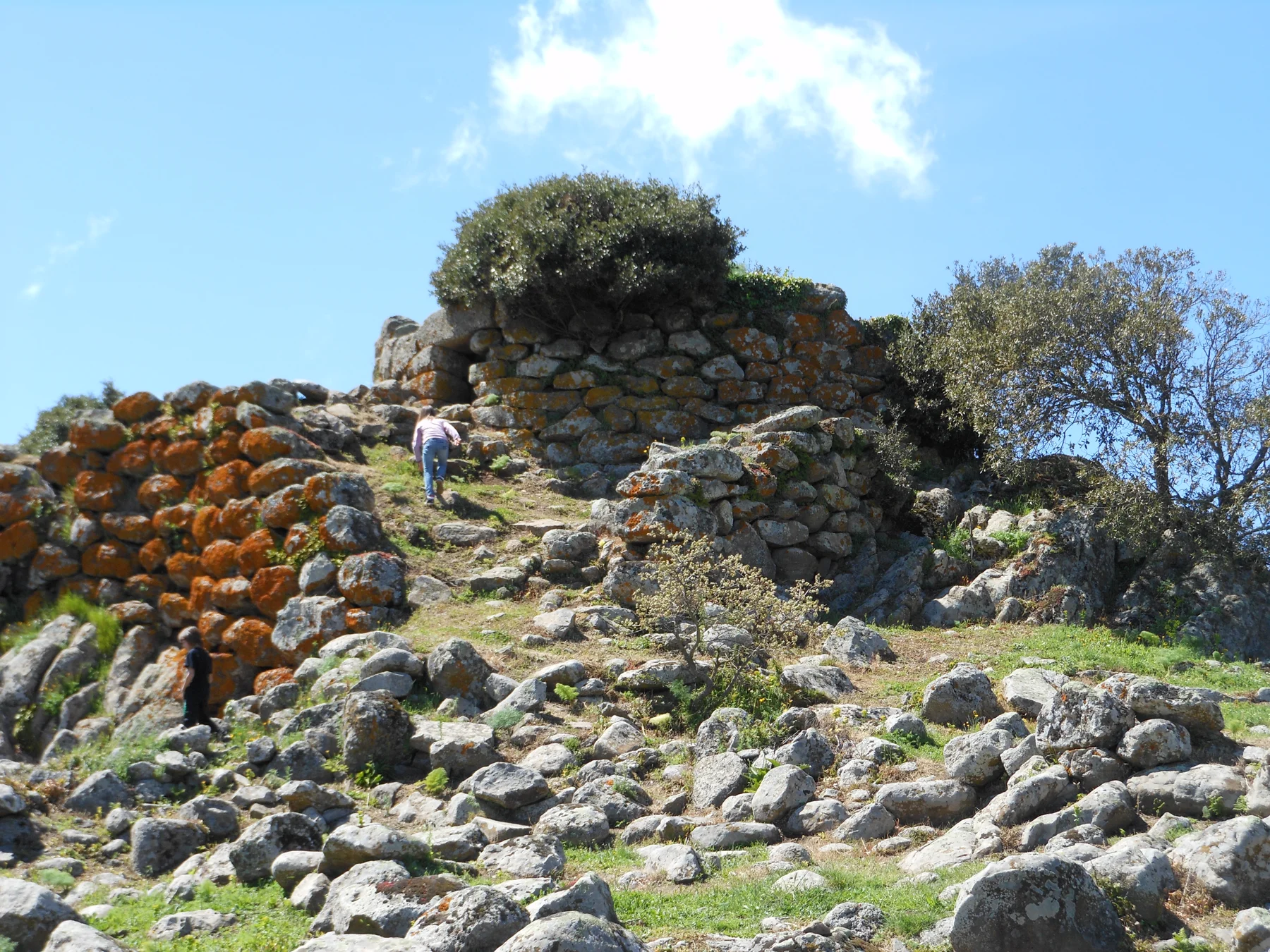 Tamuli Archaeological Complex
