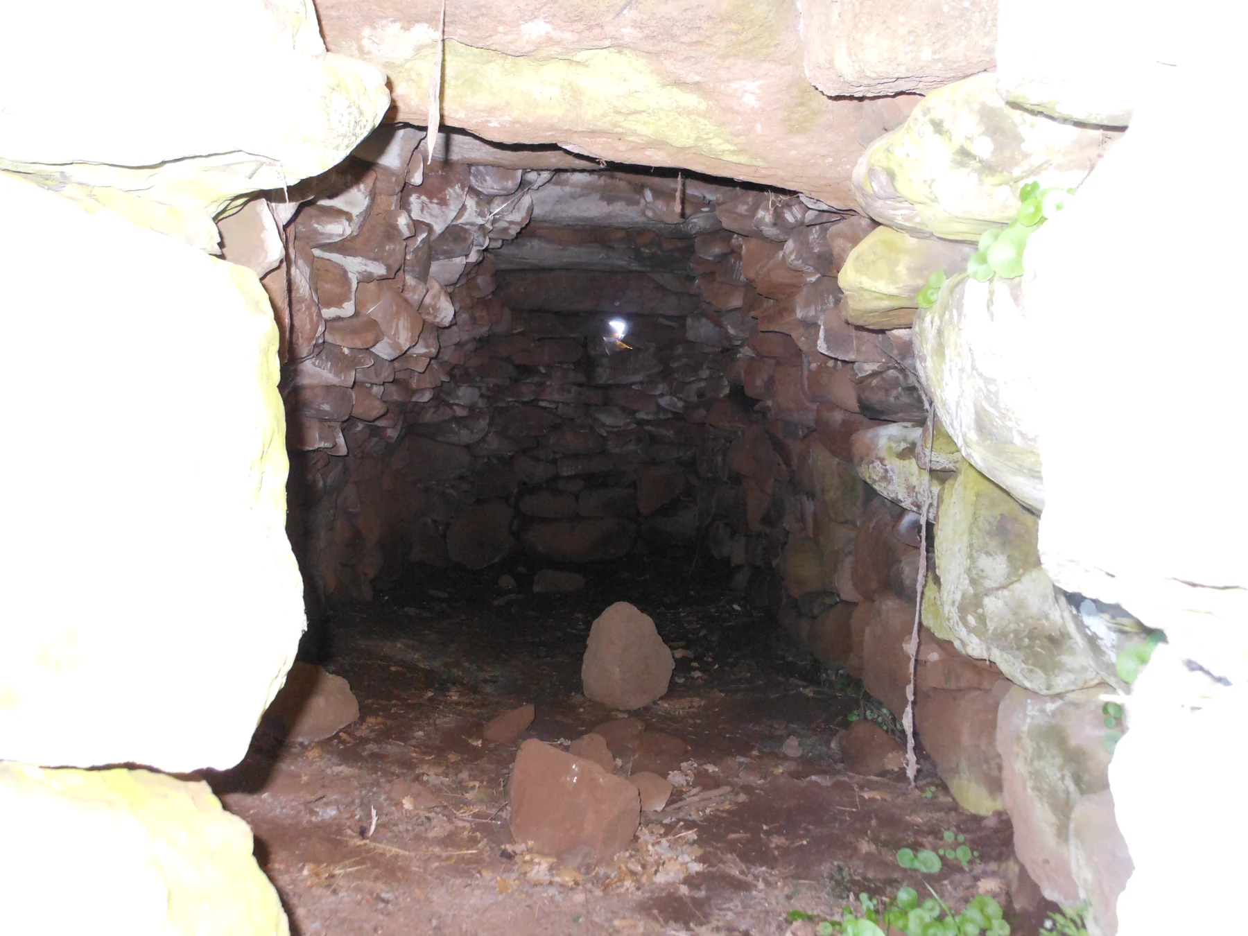 Tamuli Archaeological Complex