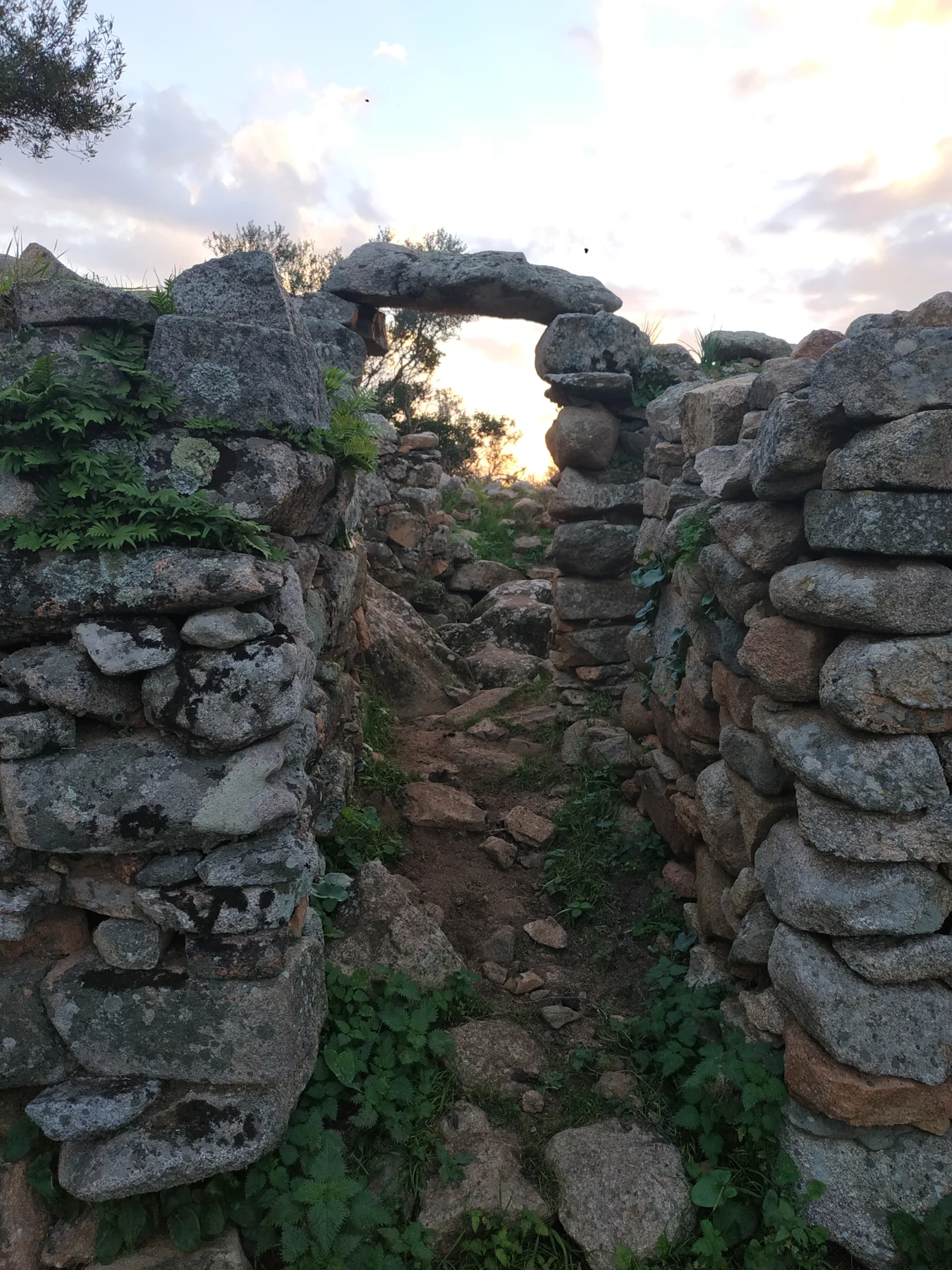 Tappa (Corsica)