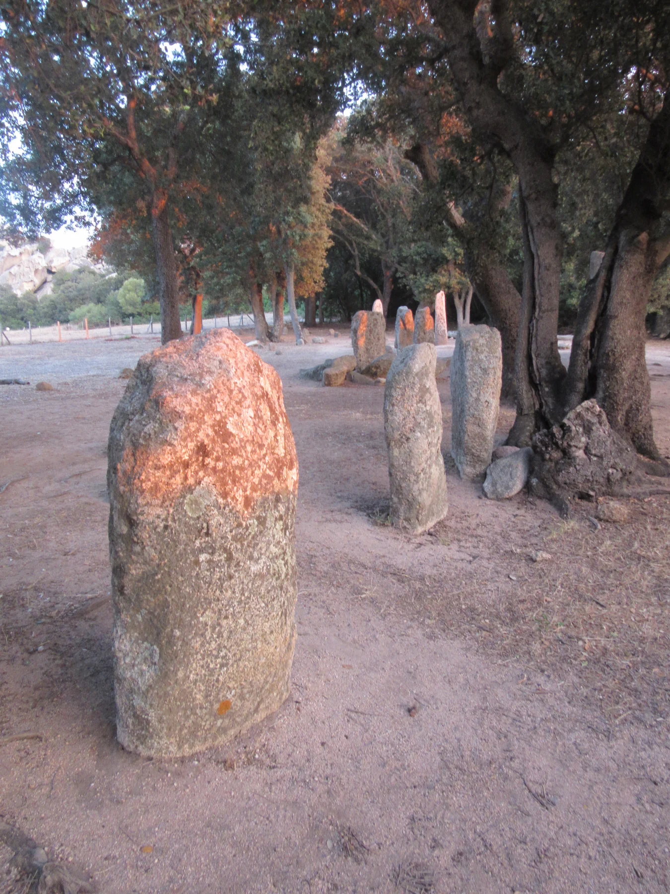 Renaghju (Corsica)