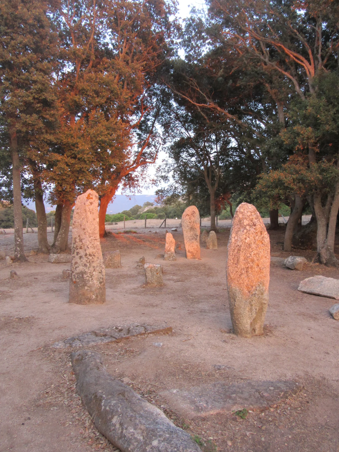Renaghju (Corsica)