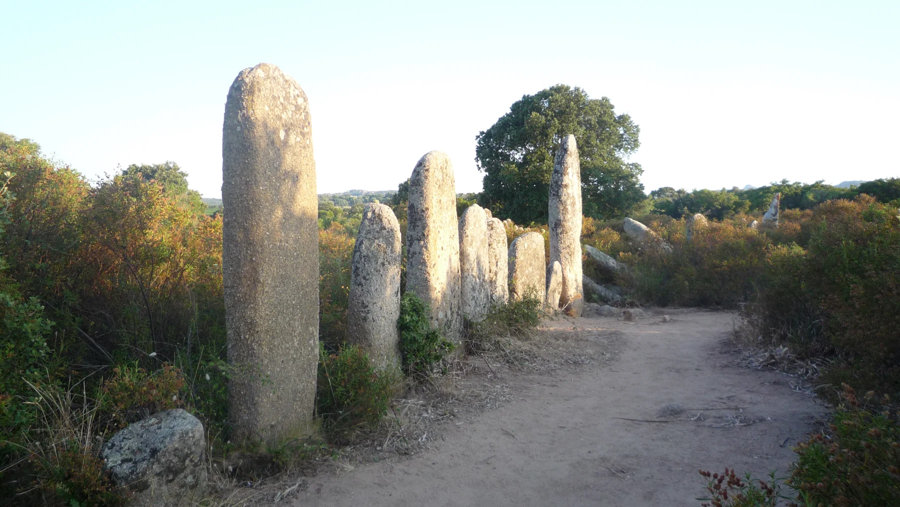 Palaggiu (Corsica)