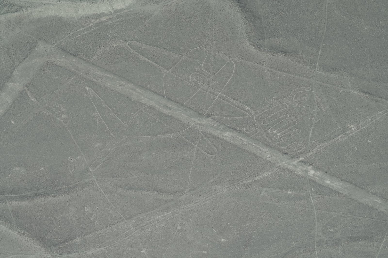 Aerial view of the Nazca whale geoglyph, a single continuous line drawn on the desert floor, crossed by a later straight line.