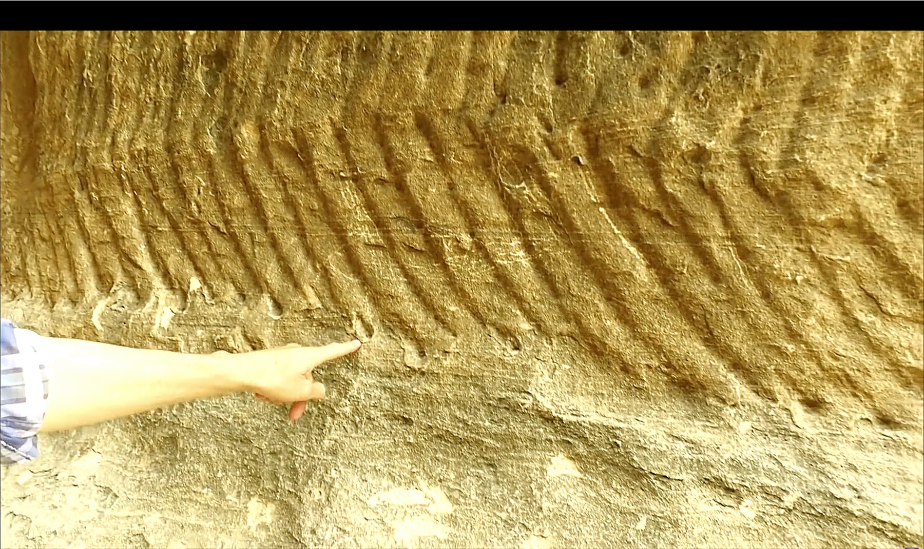 A hand pointing at parallel vertical grooves running down a sandstone wall at Little Petra, Jordan.